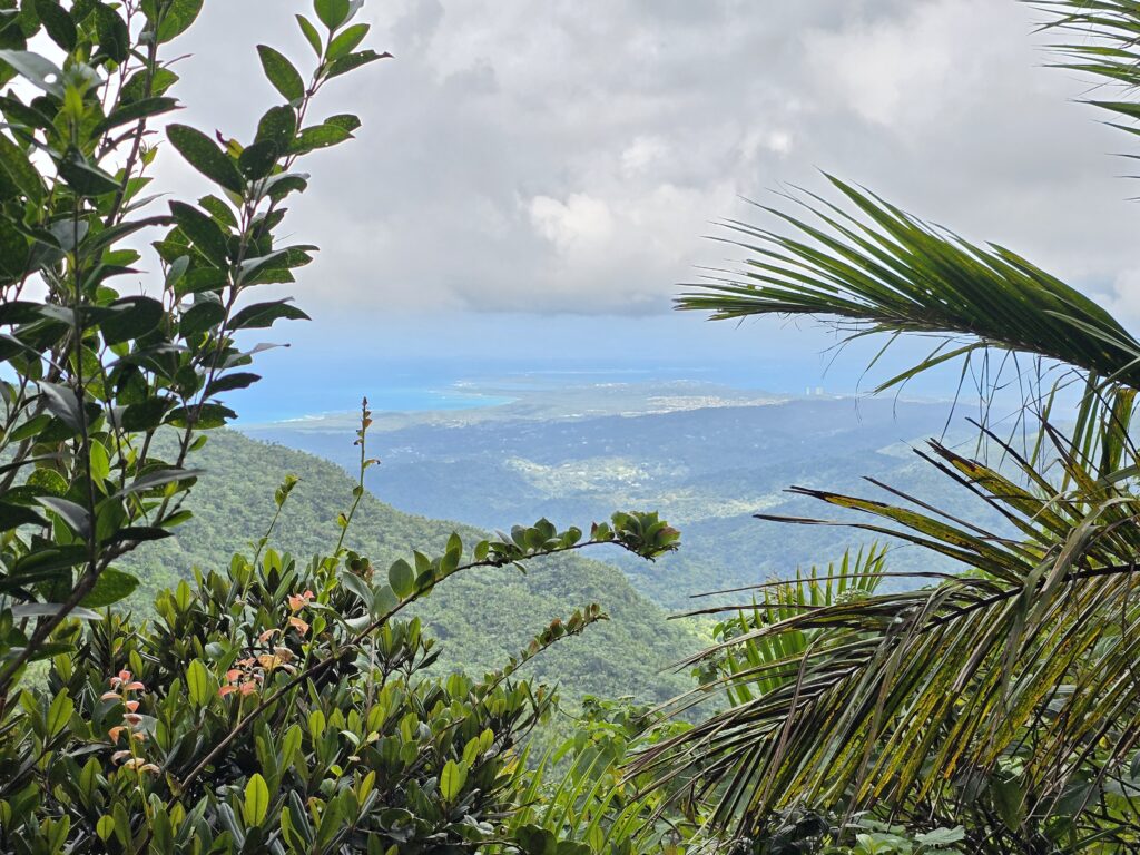 View from El Yunque Rainforest in Puerto Rico showing lush green mountains and the Caribbean Sea in the distance