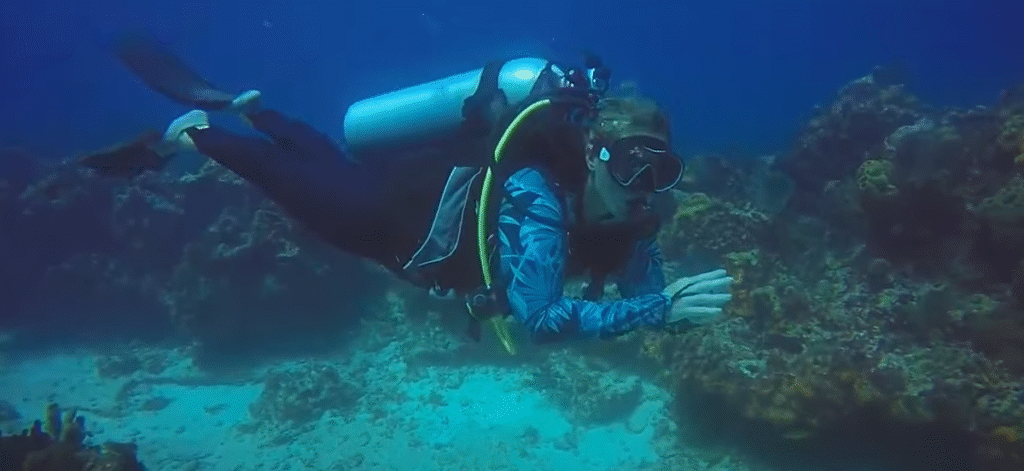 A scuba diver in a blue patterned wetsuit swims gracefully near colorful coral reefs.