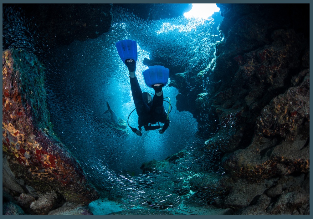 A diver swimming through a school of fish in a vibrant underwater cave.