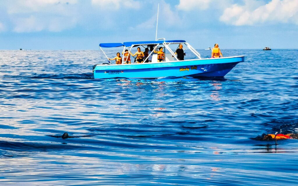 A blue boat with passengers wearing life vests glides over the calm sea, while a swimmer in an orange vest is visible nearby.