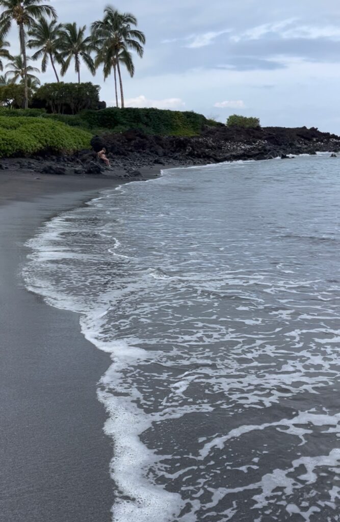 A tranquil beach scene featuring palm trees, rocky shoreline, and gentle waves lapping at the shore under a cloudy sky.