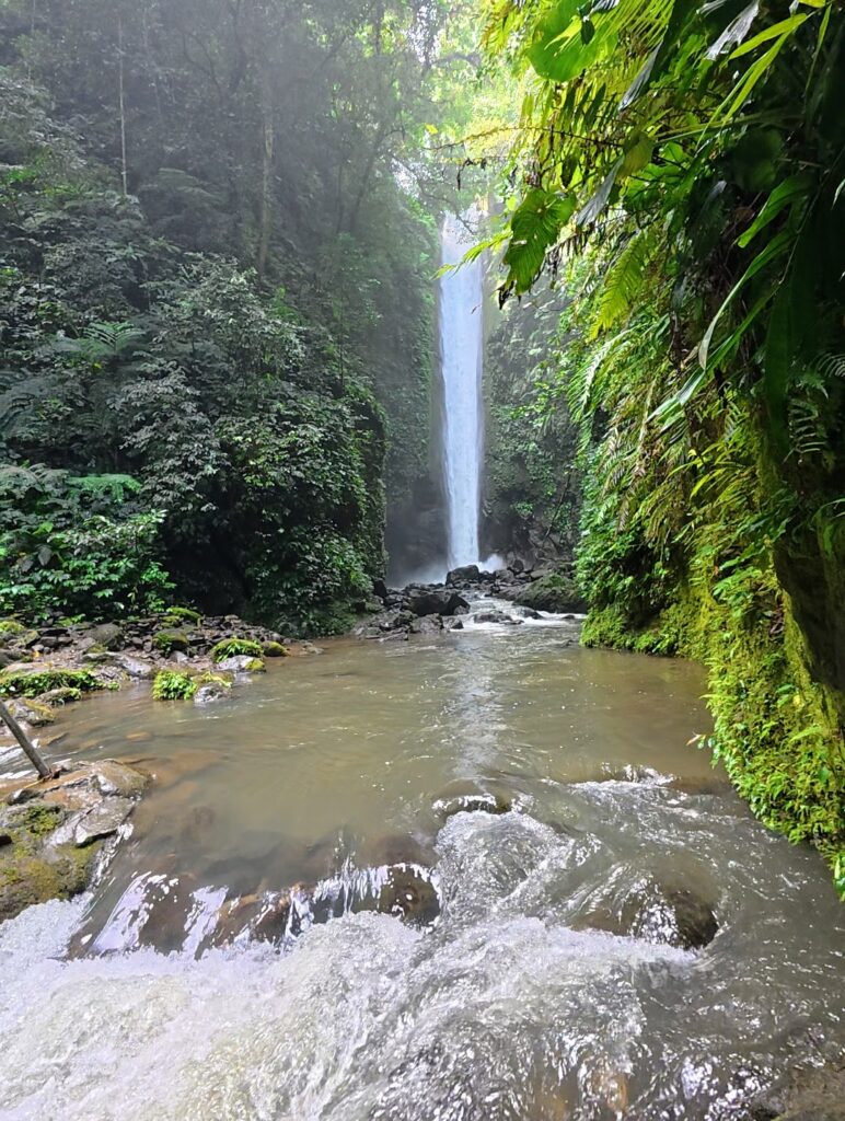 A stunning waterfall cascades down rocky cliffs, surrounded by dense green foliage and mist, with a gentle river flowing in the foreground.