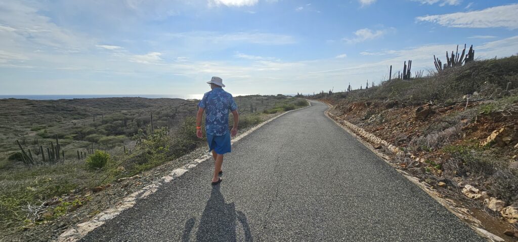 A person in a tropical shirt and shorts walking along a winding road towards the ocean, surrounded by desert-like vegetation and cacti under a blue sky.