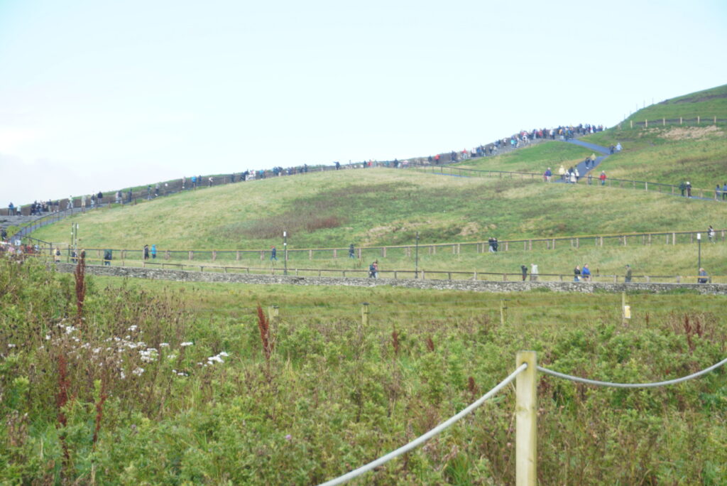 A view of numerous hikers making their way up a grassy hill along a winding path, surrounded by lush greenery and a wooden fence.