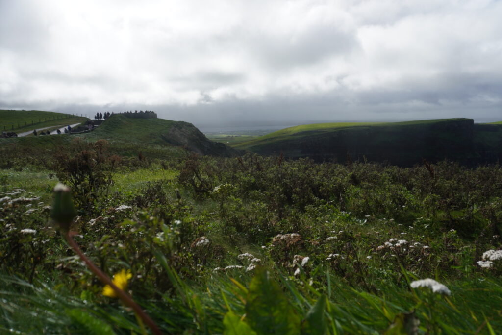 A panoramic view of the Cliffs of Moher, showcasing green hills and a cloudy sky with visitors in the distance.
