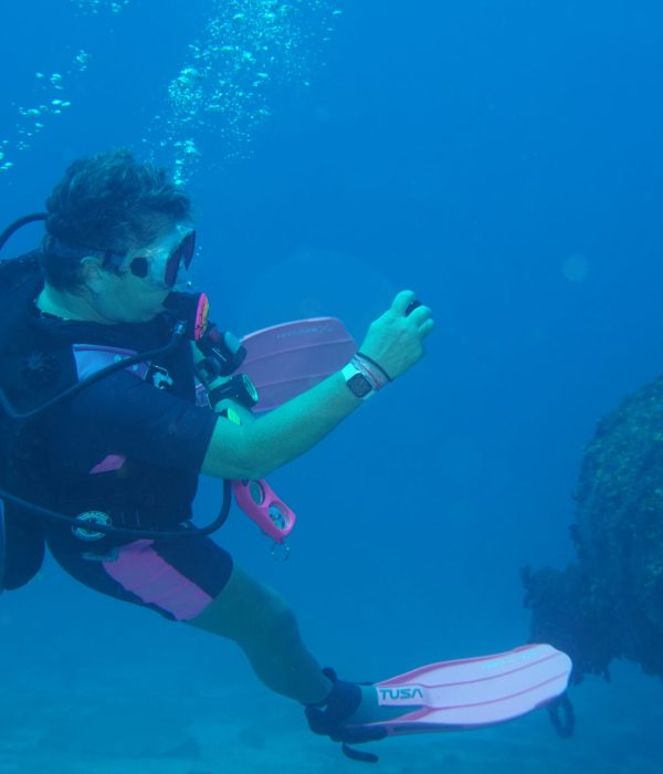 Why Cancun Is a Great Location for New Scuba Divers
