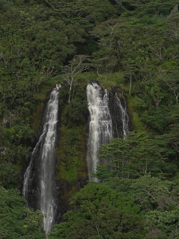 A breathtaking view of twin waterfalls cascading through lush greenery in a remote tropical forest.