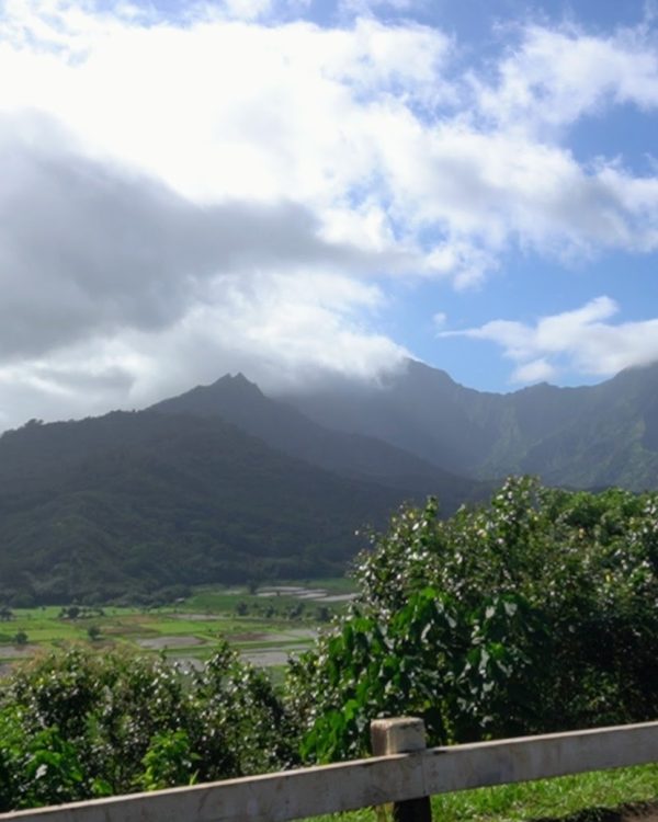 A picturesque view of lush mountains with clouds hovering above, surrounded by greenery and a clear blue sky.