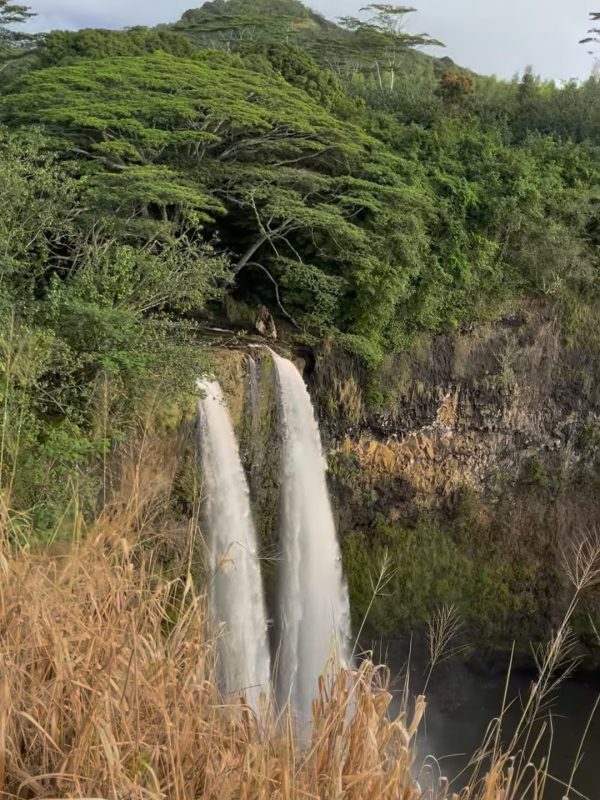 A stunning view of a dual waterfall cascading into a serene pool, framed by dense tropical vegetation and a distant mountain backdrop.