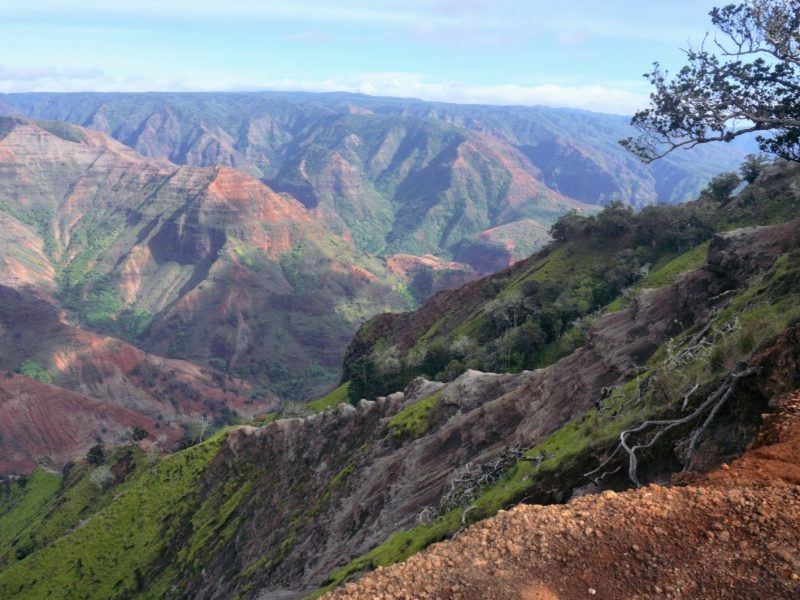 Stunning view of Waimea Canyon showcasing steep, multicolored cliffs and lush greenery under a clear blue sky.