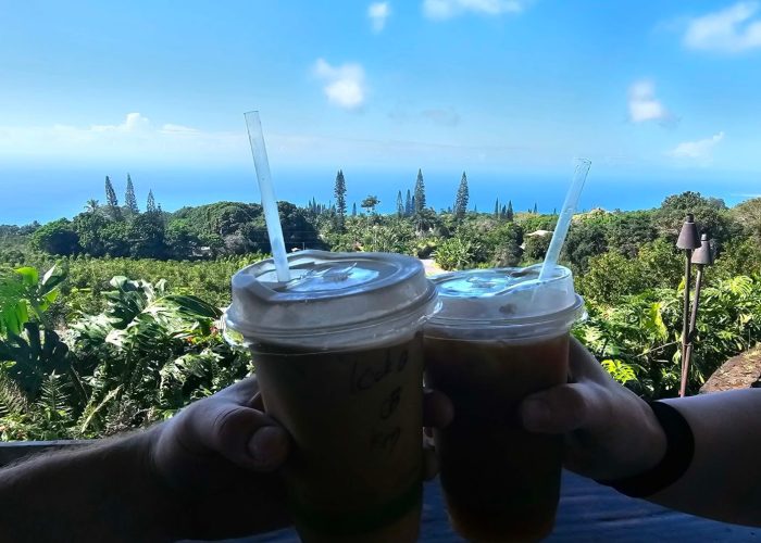 Two iced beverages held up against a stunning coastal backdrop featuring lush greenery and a clear blue sky.