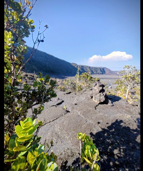 A view of a volcanic landscape with green shrubs and rocky outcrops, showcasing distant hills and a clear blue sky.