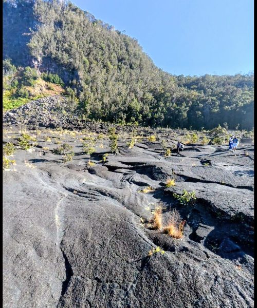 A view of textured black lava fields with patches of green vegetation, showcasing hikers exploring the landscape under a clear blue sky.