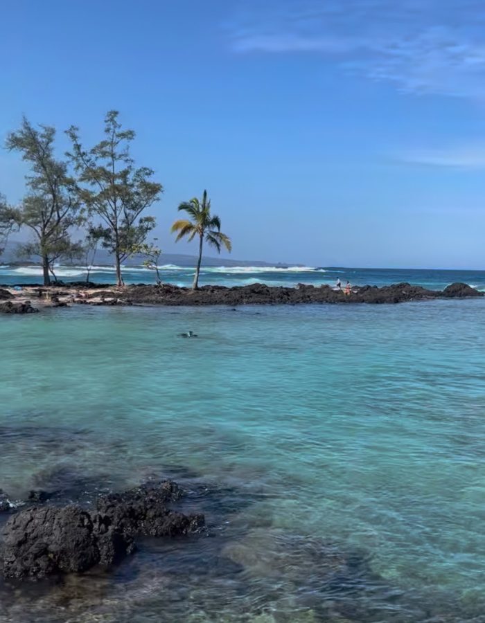Tropical Seascape with Palm Trees::A serene tropical beach scene featuring clear turquoise waters, black volcanic rocks, and palm trees under a bright blue sky.