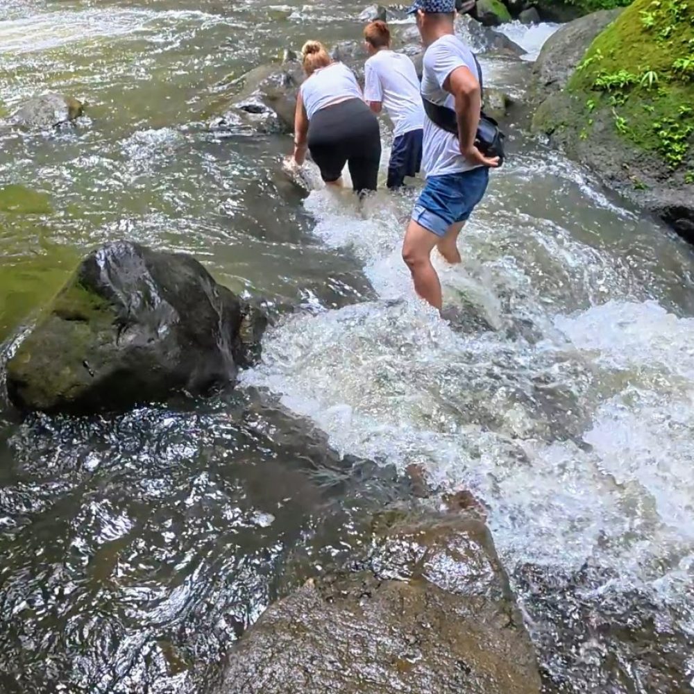 A group of people navigating through a rocky stream in a lush, green environment.