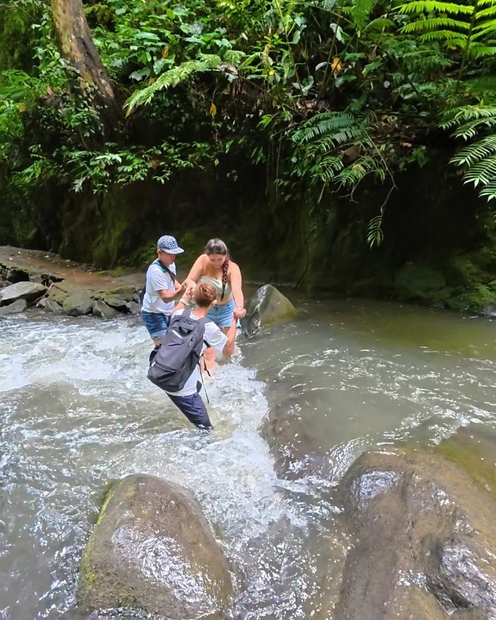 A group of three individuals carefully navigating a rocky stream surrounded by lush greenery and tropical plants.