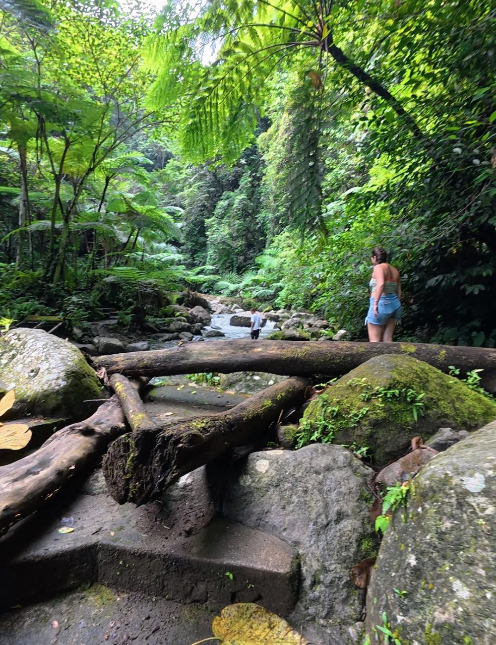 Casaroro Falls — An Adventurous Hike That Was A Little More Than I Expected A picturesque view of a lush jungle with a stream, featuring two people exploring the natural beauty amidst vibrant greenery and moss-covered rocks.