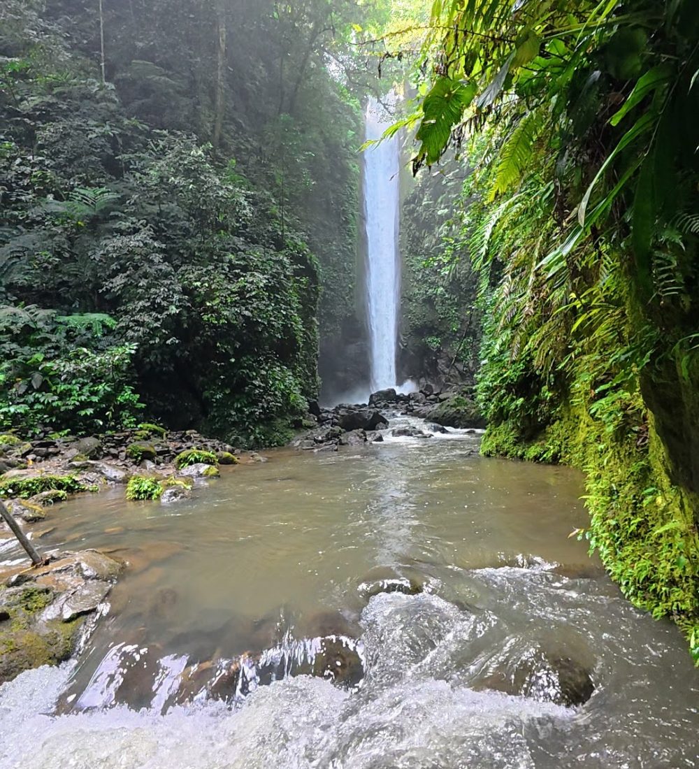 A stunning waterfall cascades down a rocky cliff surrounded by vibrant greenery and mist, with a tranquil stream flowing at the foreground.