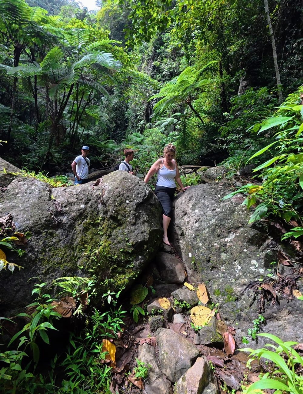 Casaroro Falls — An Adventurous Hike That Was A Little More Than I Expected Hikers navigating rocky terrain in a lush green forest setting.