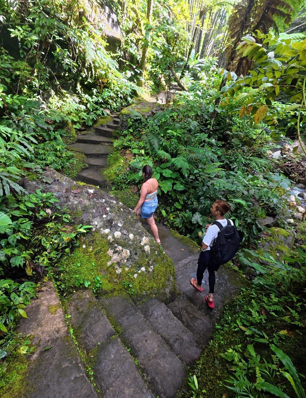 Casaroro Falls — An Adventurous Hike That Was A Little More Than I Expected Two hikers navigating a lush green path surrounded by dense foliage and mossy stone steps.