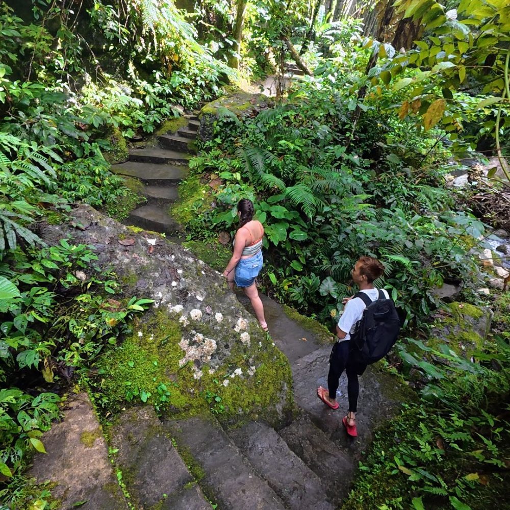 Two hikers navigating moss-covered stone steps surrounded by dense greenery.