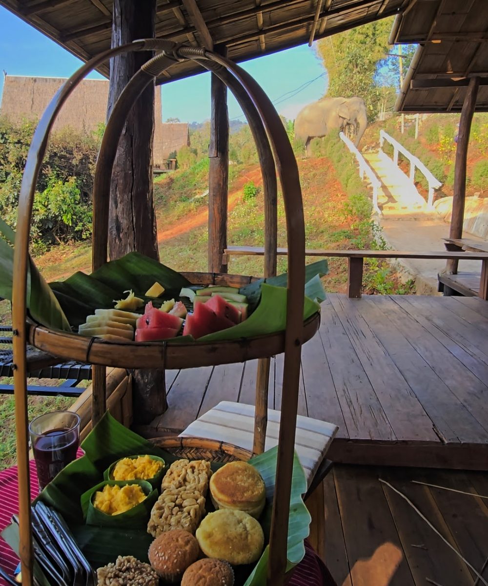 Overnight Stay At Chai Lai Orchid Elephant Sanctuary in Thailand A bamboo food stand filled with fruits and pastries, overlooking a serene outdoor setting where an elephant grazes in the distance.