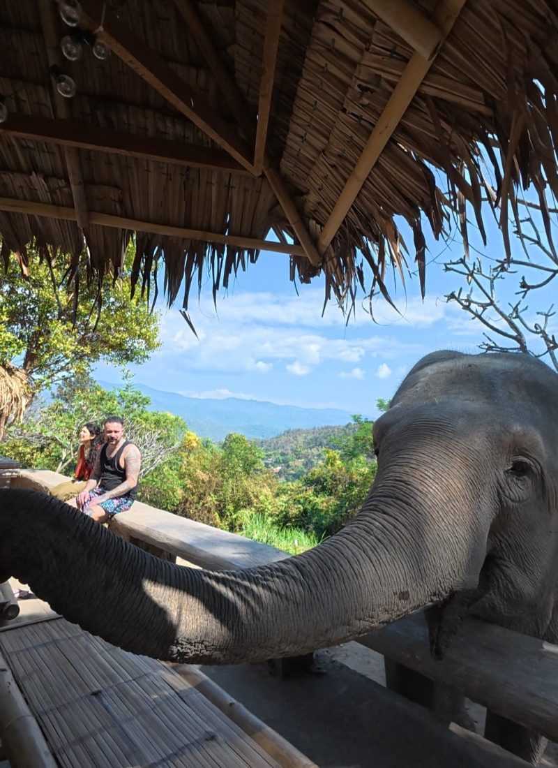 Overnight Stay At Chai Lai Orchid Elephant Sanctuary in Thailand A close-up of an elephant's trunk reaching toward the camera, with a couple enjoying the view on a wooden platform surrounded by lush greenery and mountains in the background.