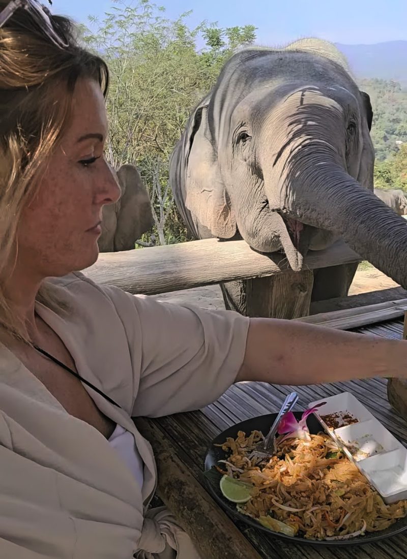 Overnight Stay At Chai Lai Orchid Elephant Sanctuary in Thailand A woman enjoying a meal at a table while a curious elephant reaches over for a closer look.
