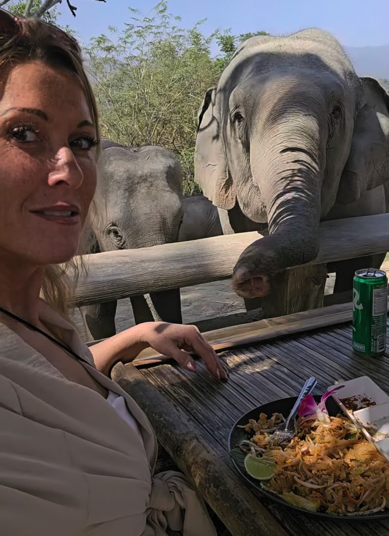 Overnight Stay At Chai Lai Orchid Elephant Sanctuary in Thailand A woman enjoys her meal at a table while elephants curiously approach in the background.