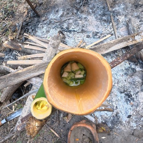 Overnight Stay At Chai Lai Orchid Elephant Sanctuary in Thailand Aerial view of a bamboo tube filled with food ingredients, placed near a campfire with ash and wooden debris surrounding it.