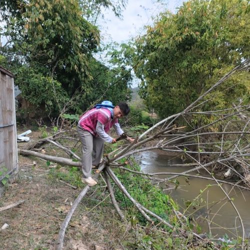 Overnight Stay At Chai Lai Orchid Elephant Sanctuary in Thailand A person carefully working on fallen branches near a river in a lush, green environment.