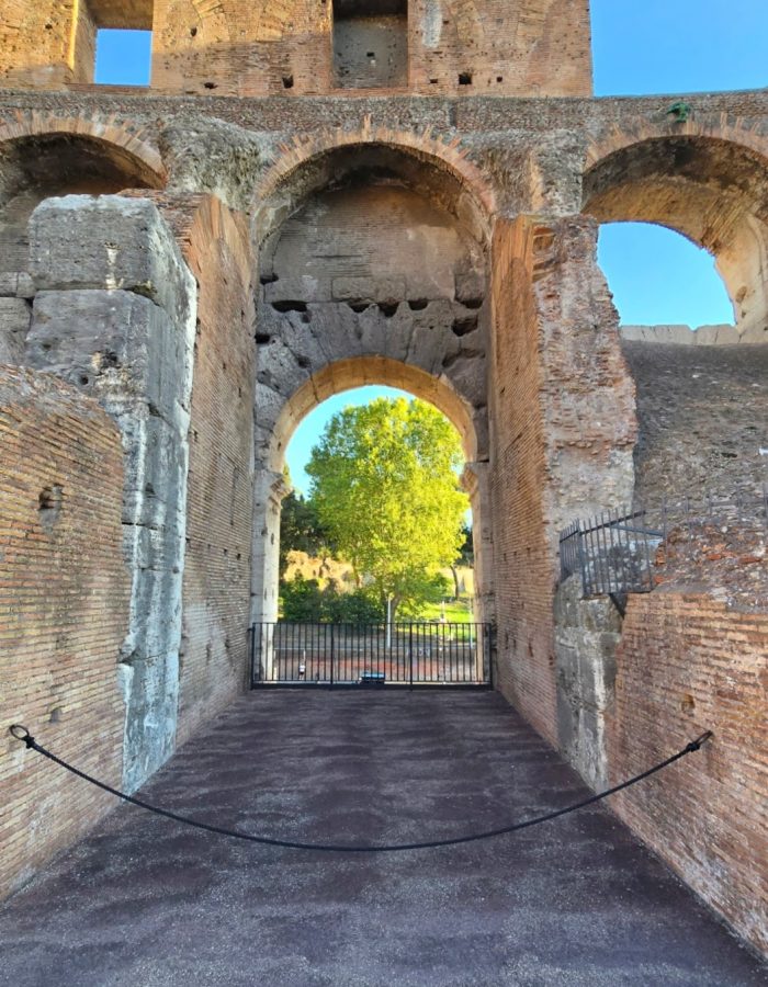 View through an archway of the Colosseum, showcasing the ancient brick structure and a tree in the background under a clear blue sky.