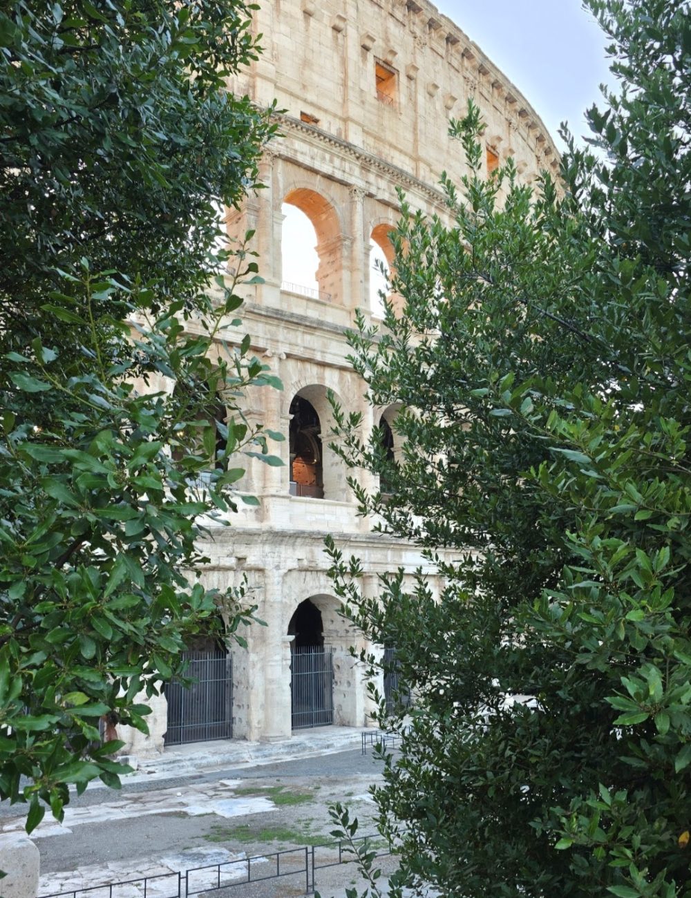 A view of the Colosseum partially obscured by lush green foliage, highlighting its ancient architecture against a clear sky.
