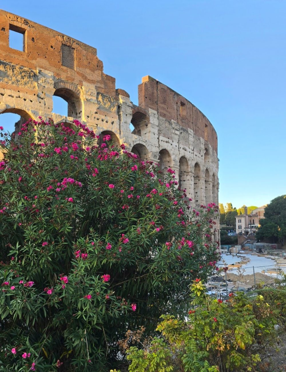 The ancient Colosseum in Rome, partially obscured by lush greenery and pink flowers, against a clear blue sky.