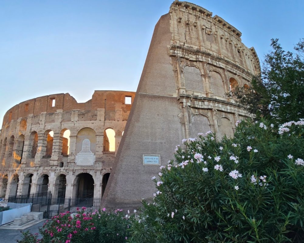 The ancient Colosseum in Rome framed by blooming flowers and a clear sky at sunset.