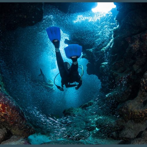 Destinations Why Cancun Is a Great Location for New Scuba Divers