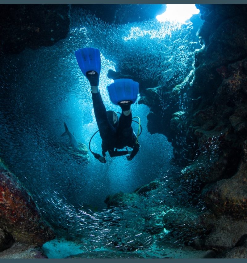 Why Cancun Is a Great Location for New Scuba Divers