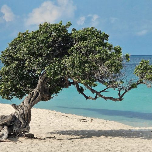 Paradise Without The Price Tag: Exploring Aruba On A Budget