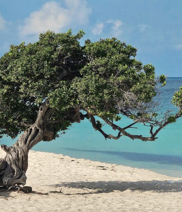 Paradise Without The Price Tag: Exploring Aruba On A Budget