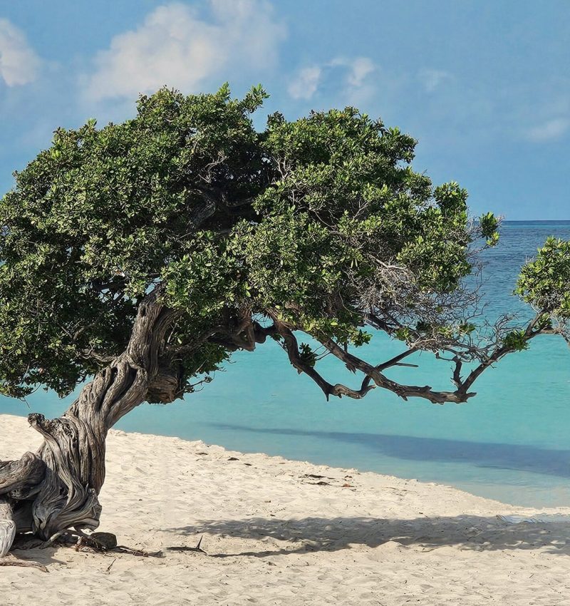 Paradise Without The Price Tag: Exploring Aruba On A Budget