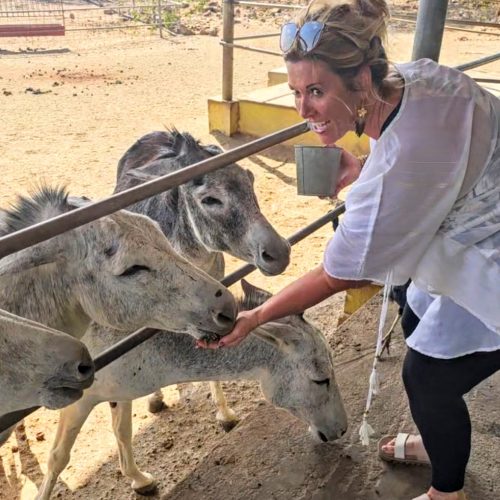 Making new friends at the Donkey Sanctuary Aruba.
