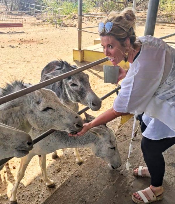 Making new friends at the Donkey Sanctuary Aruba.