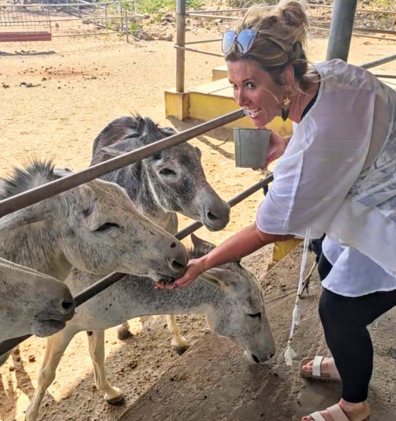 Making new friends at the Donkey Sanctuary Aruba.