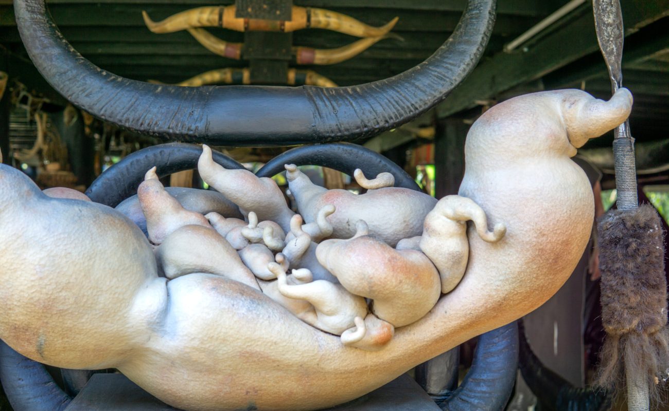 Baan Dam: The Black House Museum A close-up view of an abstract sculpture featuring intertwined, organic forms resembling soft, elongated shapes with a variety of textures and colors, set against a rustic background.